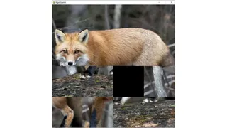 Скриншот 4 к игре hgmGame-fox