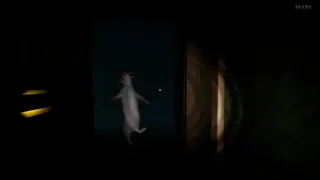 Скриншот 4 к игре Goat Stand and Turtle Guy