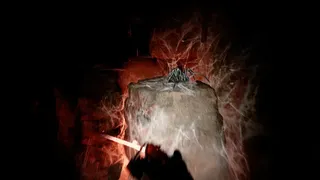 Скриншот 2 к игре Mine Spiders
