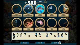 Скриншот 1 к игре Sea Life Explorer Collector's Edition