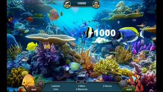 Скриншот 4 к игре Sea Life Explorer Collector's Edition