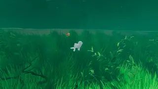 Скриншот 4 к игре The Aquarium