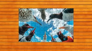 Скриншот 2 к игре Whispers of Wings Jigsaw Puzzles