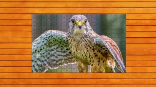 Скриншот 4 к игре Whispers of Wings Jigsaw Puzzles