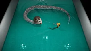 Скриншот 3 к игре Бесконечный цикл:Закулисье
