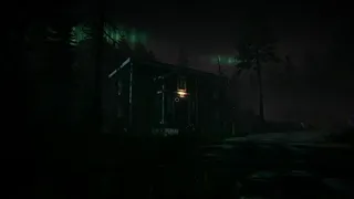 Скриншот 2 к игре The Shade