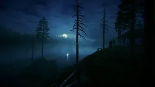 Скриншот 6 к игре The Shade