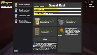 Скриншот 1 к игре Weed Store Simulator