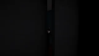 Скриншот 4 к игре Trapped At Home
