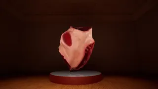 Скриншот 7 к игре The Web