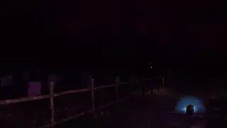Скриншот 4 к игре Escape From Tung Tung Sahur