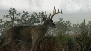Скриншот 1 к игре Deer Hunting Camp