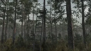Скриншот 3 к игре Deer Hunting Camp