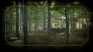 Скриншот 5 к игре Deer Hunting Camp