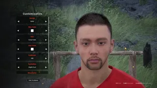 Скриншот 1 к игре Swanfield Survival