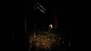 Скриншот 2 к игре Midnight Escape