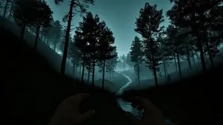 Скриншот 2 к игре Dark Realms: Mysteries of Hoia Baciu Forest