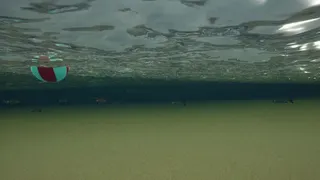 Скриншот 7 к игре King Crab