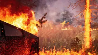 Скриншот 4 к игре FIRE