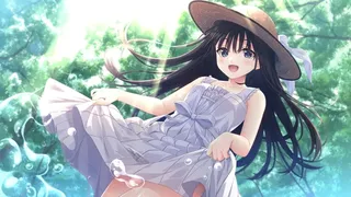Скриншот 3 к игре Sickly Days and Summer Traces