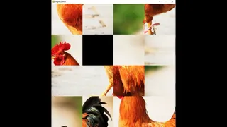 Скриншот 4 к игре hgmGame-rooster