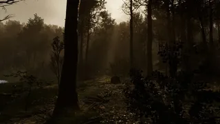 Скриншот 2 к игре Withering Horrors