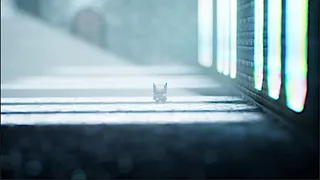 Скриншот 5 к игре Saqer's Paradox