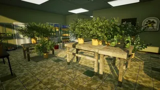 Скриншот 5 к игре Sunny Blooms Garden Center