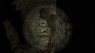 Скриншот 2 к игре Echoes in the Dark