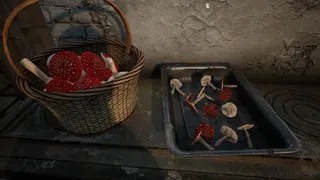 Скриншот 1 к игре Симулятор Грибника