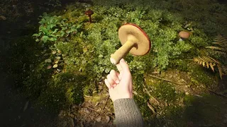 Скриншот 2 к игре Симулятор Грибника