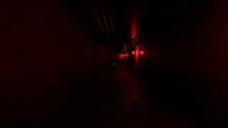 Скриншот 4 к игре Brain