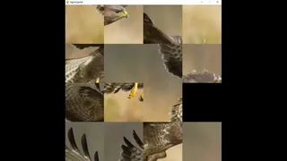 Скриншот 1 к игре hgmGame-eagle