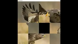 Скриншот 2 к игре hgmGame-eagle