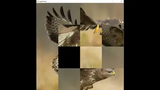 Скриншот 3 к игре hgmGame-eagle