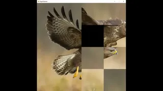 Скриншот 4 к игре hgmGame-eagle