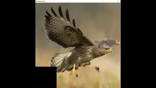 Скриншот 5 к игре hgmGame-eagle