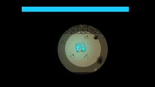 Скриншот 3 к игре Against Legions of Specters