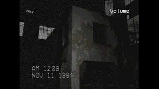 Скриншот 1 к игре The Silent Witness