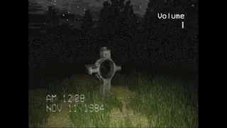 Скриншот 3 к игре The Silent Witness