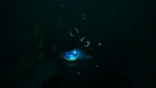 Скриншот 1 к игре Voice of the Ocean