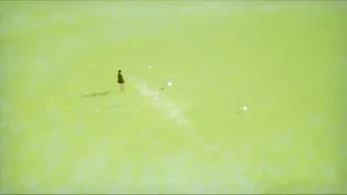 Скриншот 7 к игре 呼~/huuu