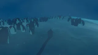 Скриншот 8 к игре Penguin Colony