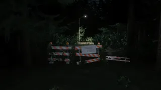 Скриншот 1 к игре Darkness in the Forest