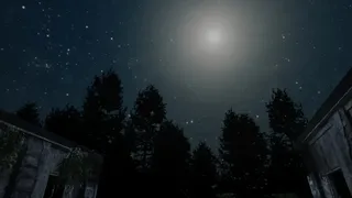 Скриншот 4 к игре Darkness in the Forest