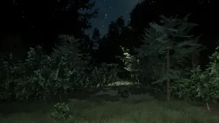 Скриншот 5 к игре Darkness in the Forest