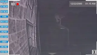 Скриншот 4 к игре The Puppy