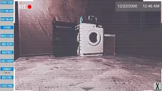 Скриншот 7 к игре The Puppy