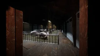 Скриншот 1 к игре Porcine Parasite