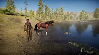 Скриншот 1 к игре Raven's Journey